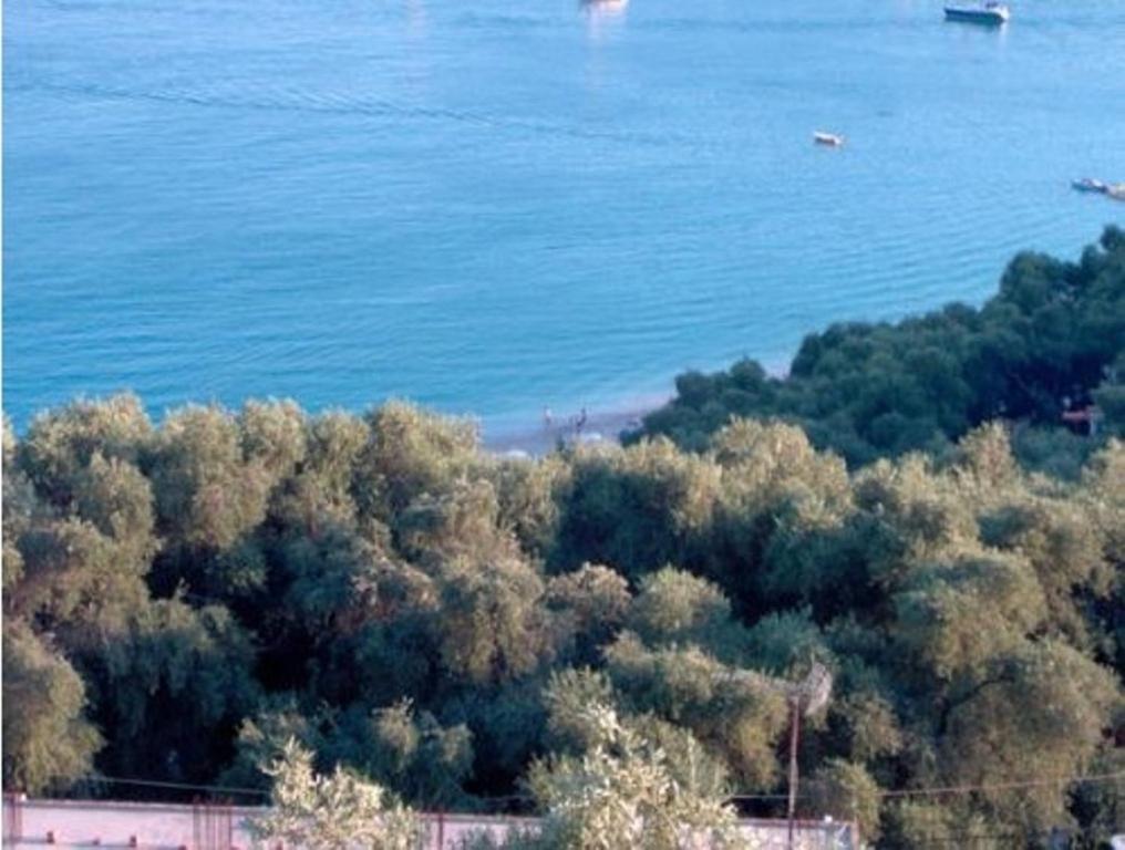 Studios Nikolaou Bros Parga Ngoại thất bức ảnh